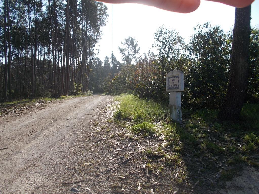 הוילה Nadadouro Ecobosque מראה חיצוני תמונה