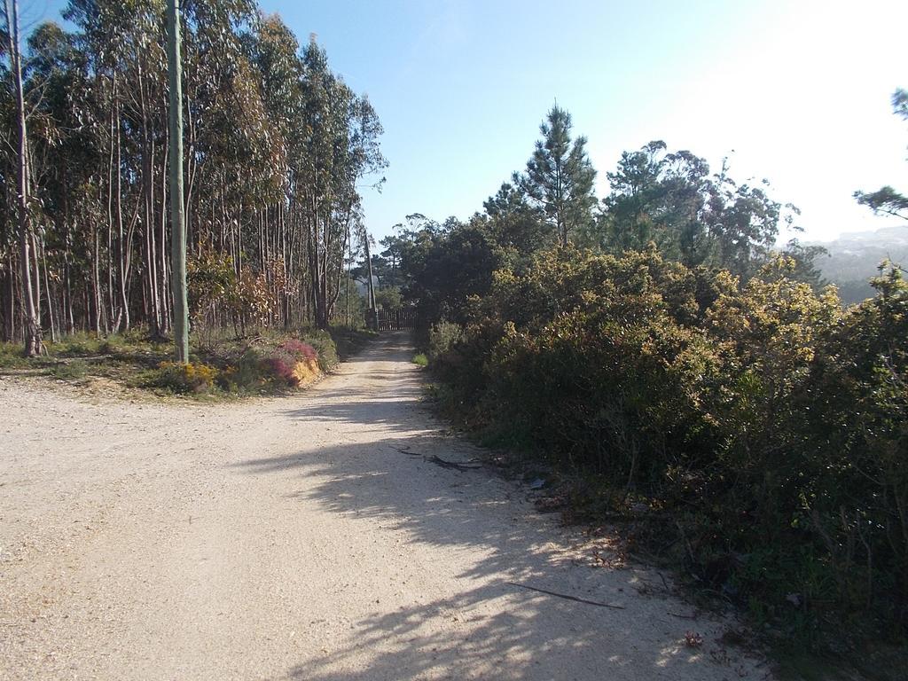 הוילה Nadadouro Ecobosque מראה חיצוני תמונה